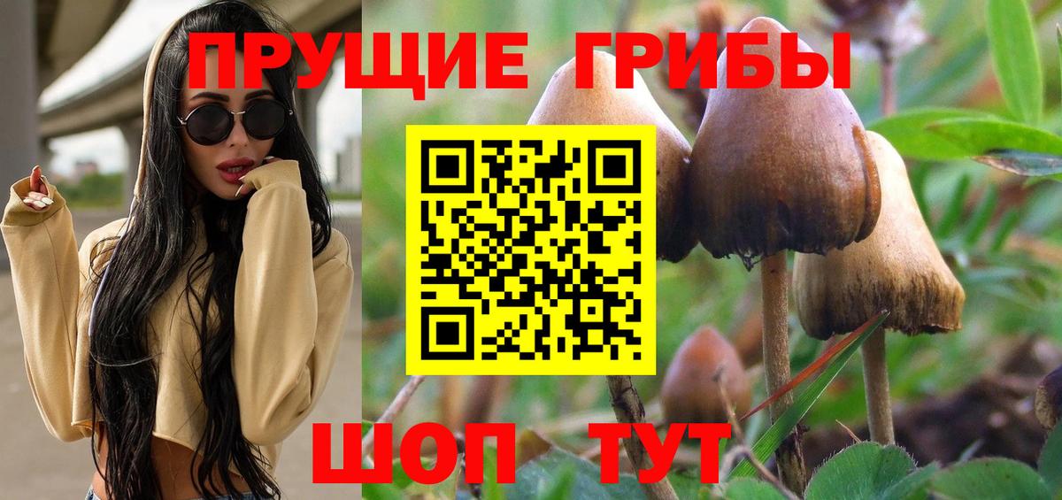 Кропоткин  Галлюциногенные грибы Psilocybine cubensis  Вход с VPN  Галлюциногенные грибы прущие грибы 