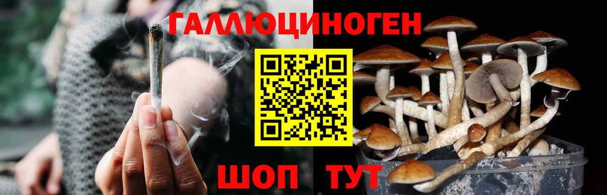 Псилоцибиновые грибы ЛСД Кропоткин