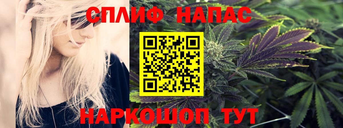 Бошки Шишки планчик Кропоткин